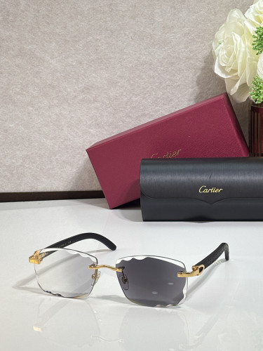 Cartier Sunglasses AAAA-14339