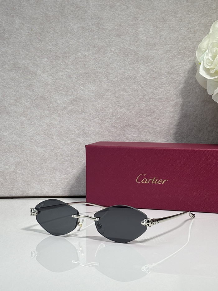 Cartier Sunglasses AAAA-13763
