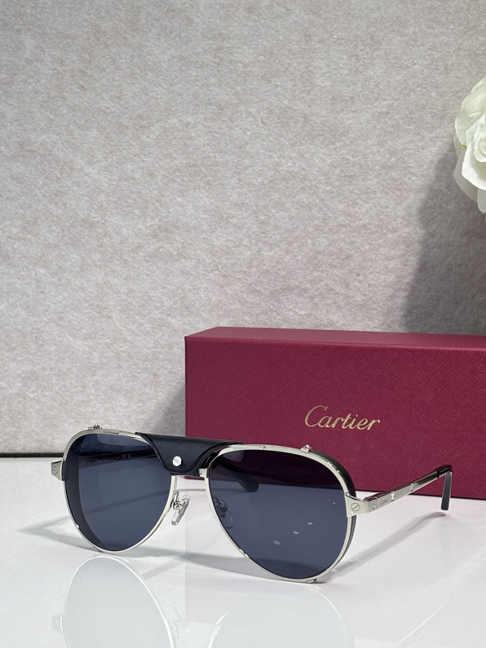 Cartier Sunglasses AAAA-13613