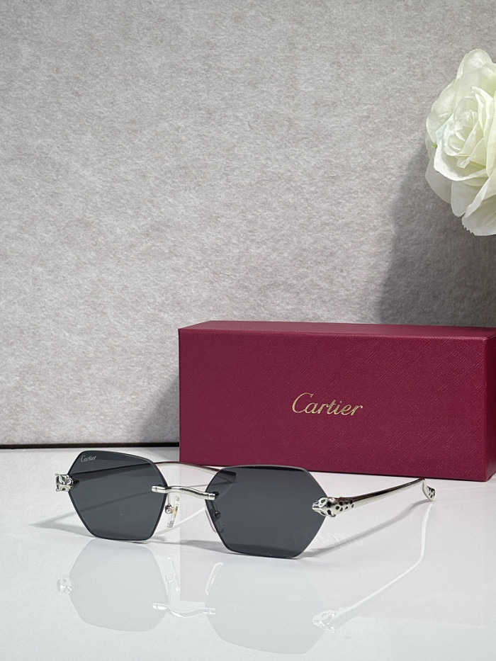 Cartier Sunglasses AAAA-13689