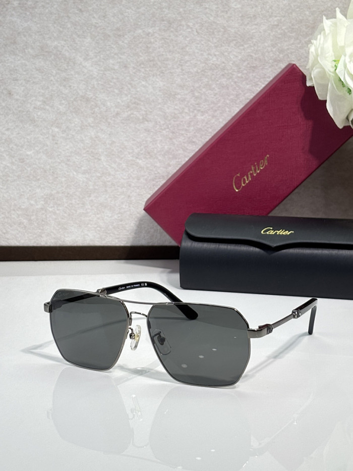 Cartier Sunglasses AAAA-13361