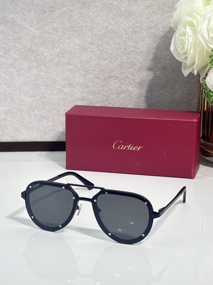 Cartier Sunglasses AAAA-13137