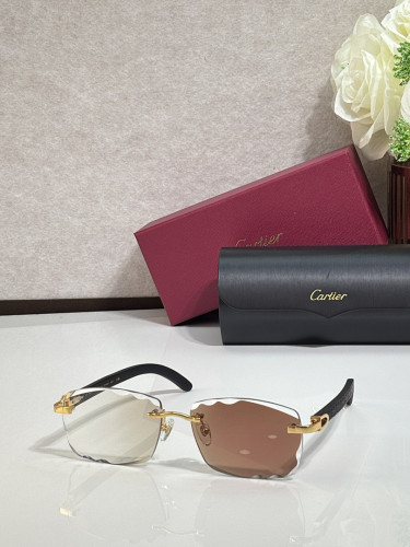 Cartier Sunglasses AAAA-14338