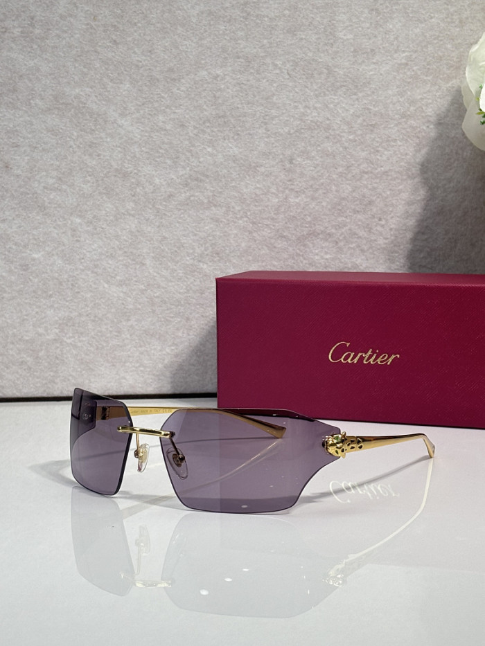 Cartier Sunglasses AAAA-13778