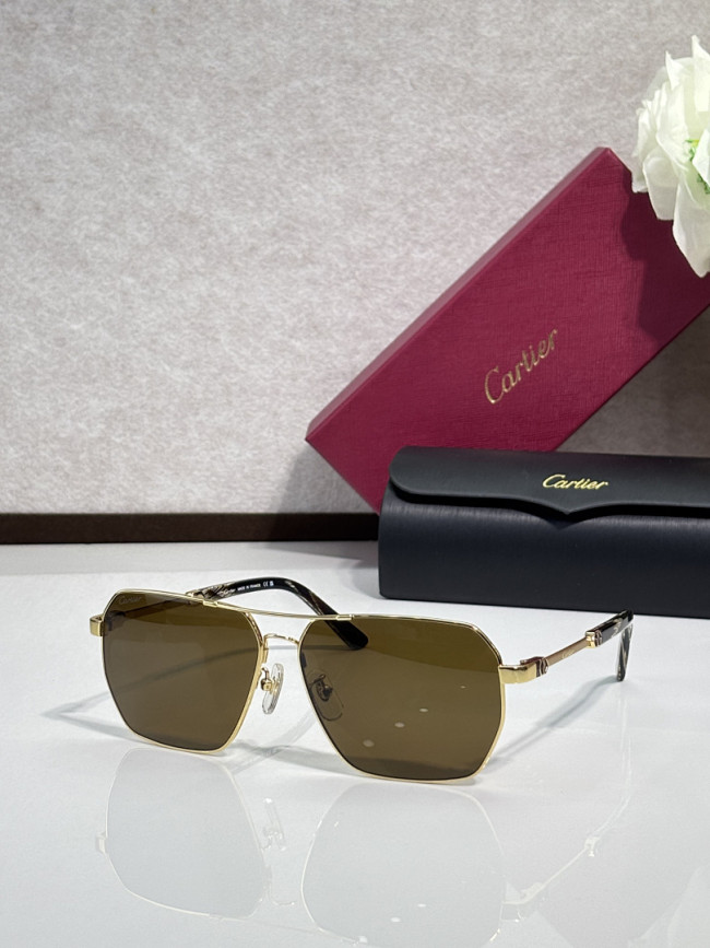 Cartier Sunglasses AAAA-13363