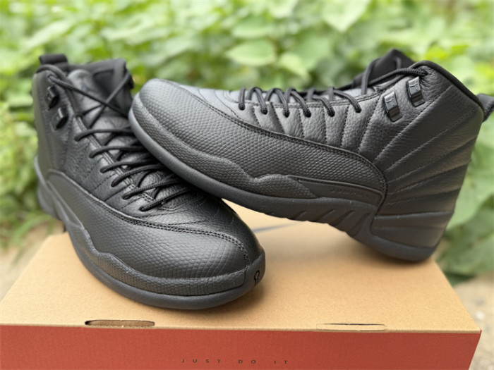 Authentic Air Jordan 12 Black