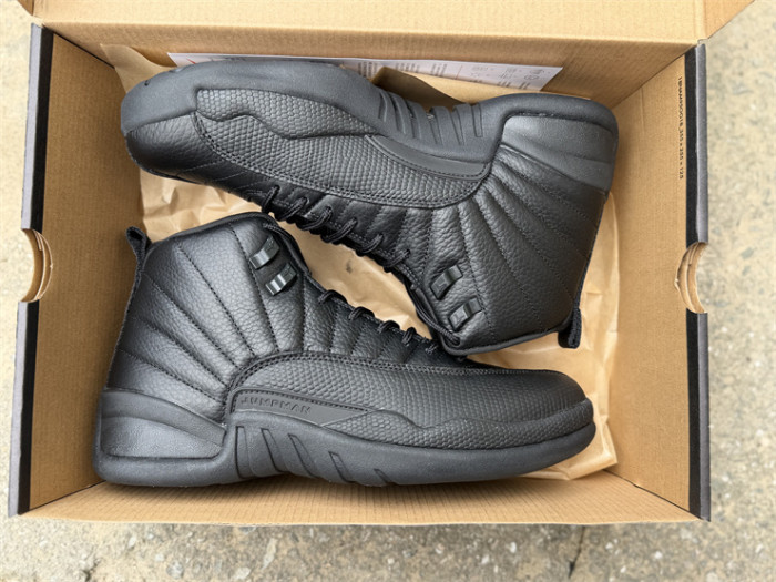 Authentic Air Jordan 12 Black