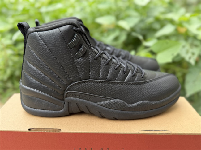 Authentic Air Jordan 12 Black
