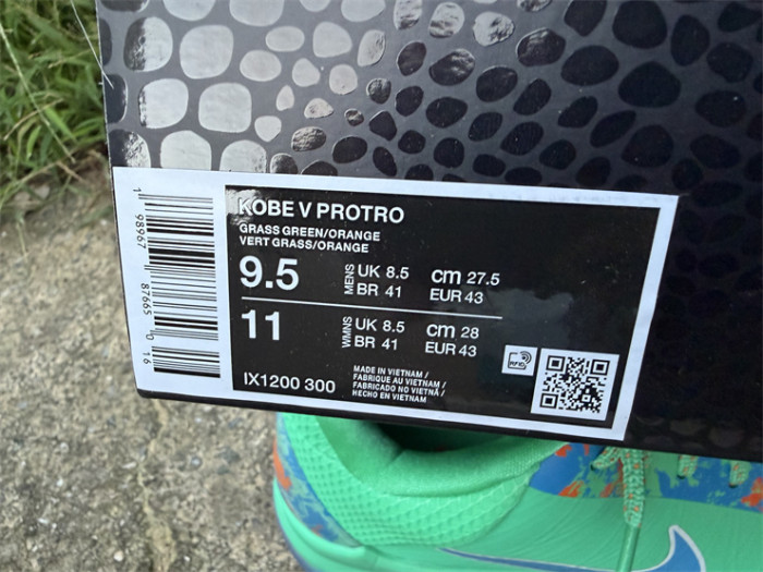 Authentic Nike Kobe 5 Protro Jalen Brunson NY vs. NY PE