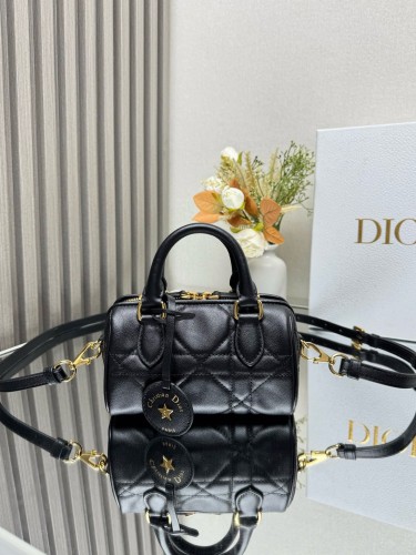 Dior High End Quality Bags-225