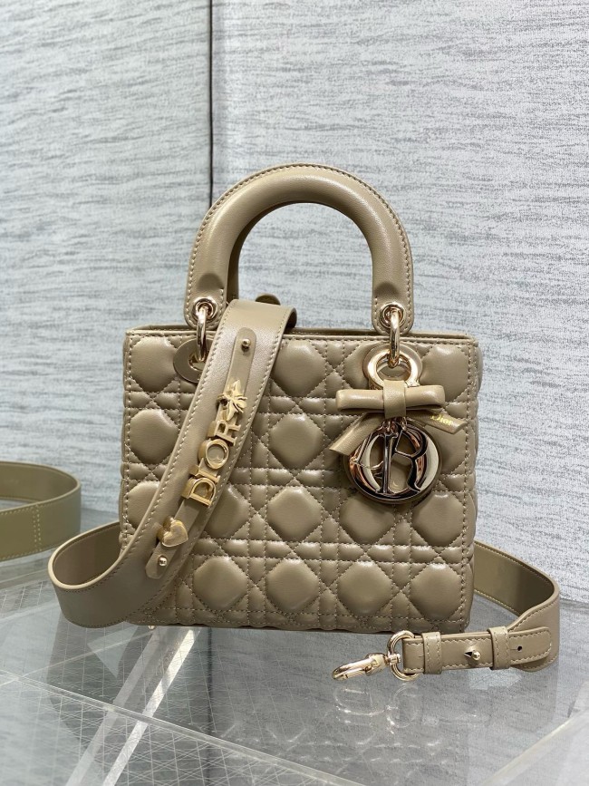 Dior High End Quality Bags-196