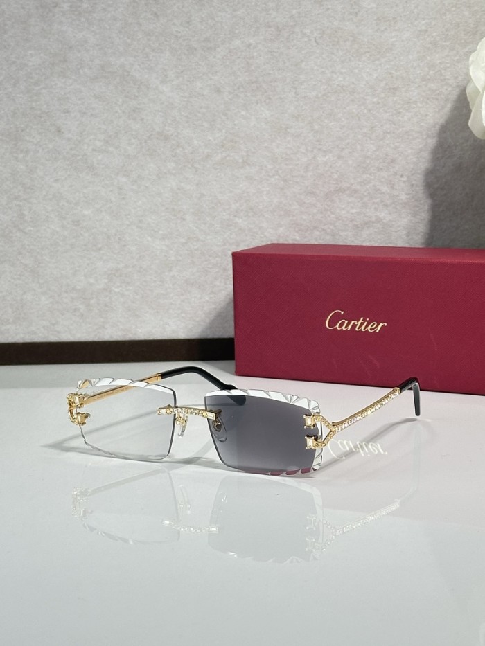 Cartier Sunglasses AAAA-14823