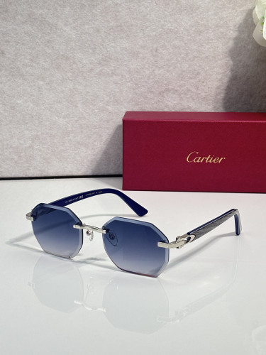 Cartier Sunglasses AAAA-14970