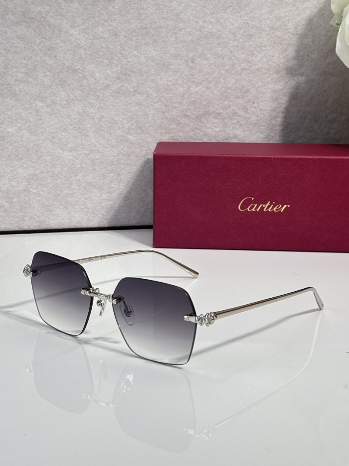 Cartier Sunglasses AAAA-16704