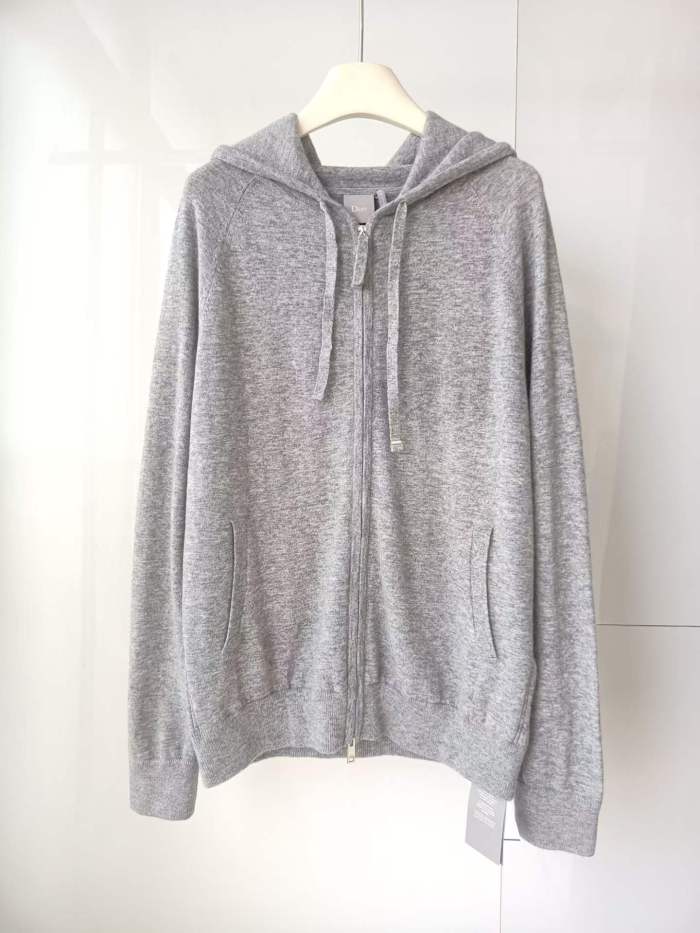 Dior Hoodies High End Quality-231