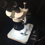 Wylie WL-240 Super Clear 20X - 40X Jewelers Imported Lens Binocular Stereo Microscope with Fluorescent Ring Lamp