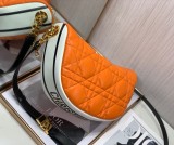 Dior VIBE 9098 30x19x10cm