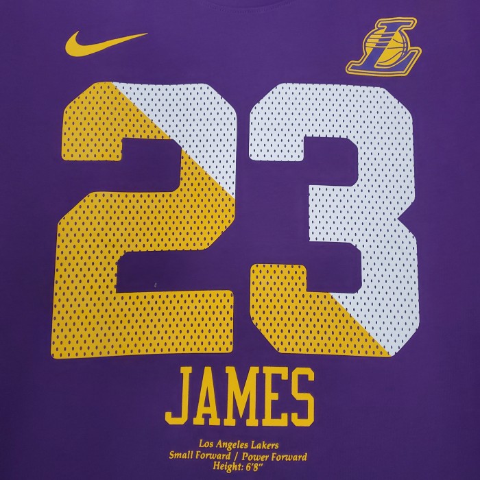 LeBron James Los Angeles Lakers Casual T-shirt Purple