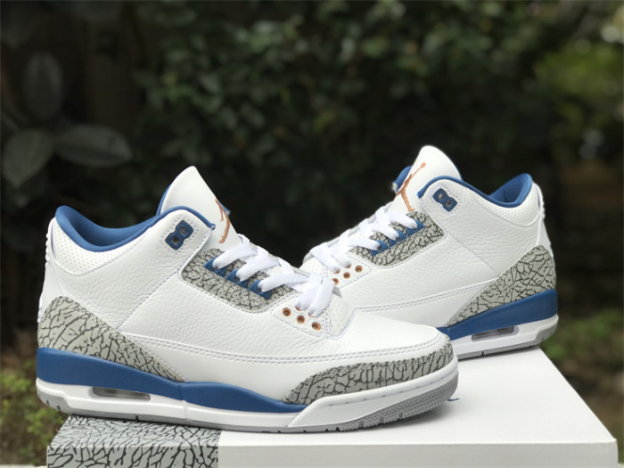 Air Jordan 3 “Wizards”