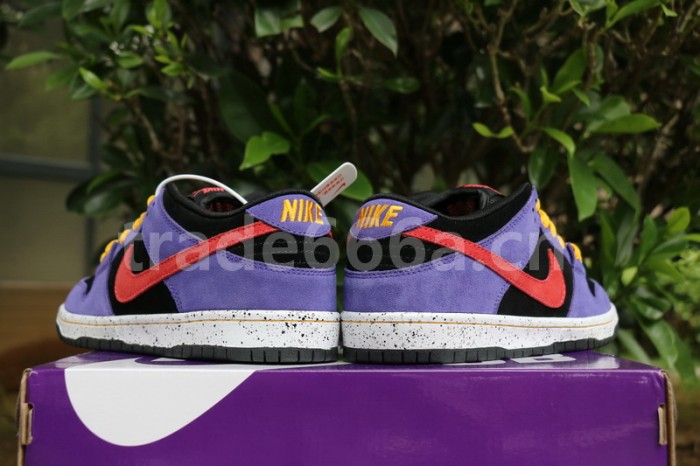 Authentic Nike SB Dunk Low “ACG”
