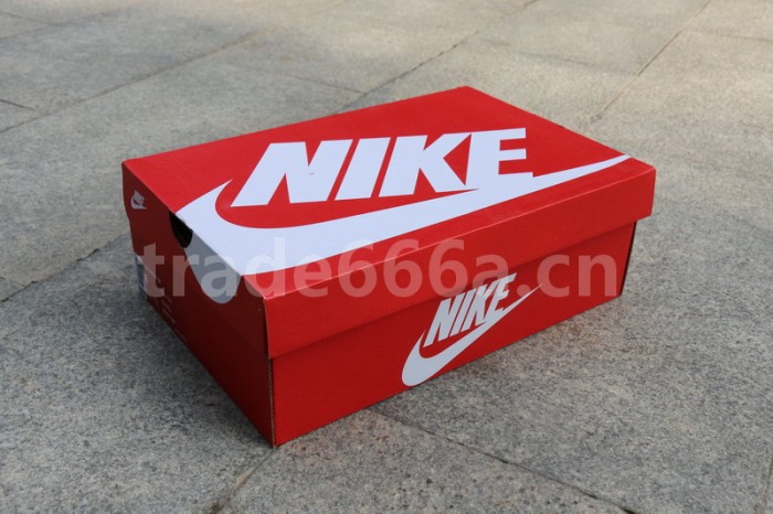 Authentic Nike Dunk Hi Blue White