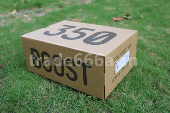 Authentic AD Yeezy Boost 350 V2 “Blue Tint”