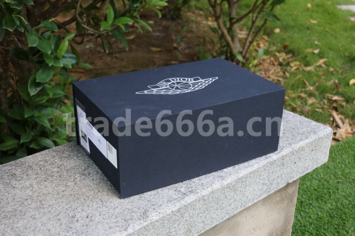Authentic Dior x Ai Jordan 1 Low Top (with dior boxes)