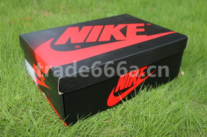 Authentic Air Jordan 1 Top 3