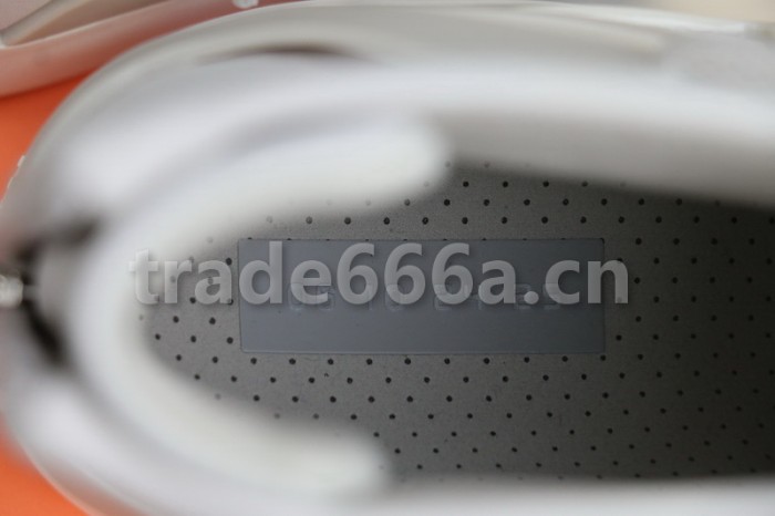 Authentic Nike Air Fear of God 1 Grey