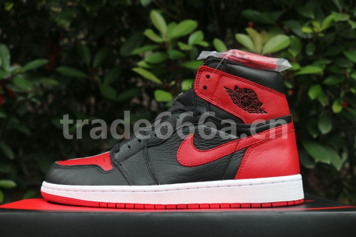 Authentic Air Jordan 1 Retro High OG “Homage To Home”