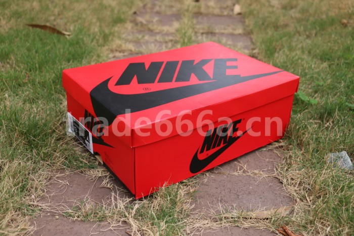 Authentic Air Jordan 1 “Fearless”