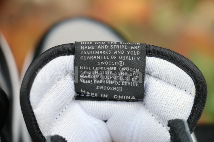 Authentic Air Jordan 1 OG “Shadow” 2018