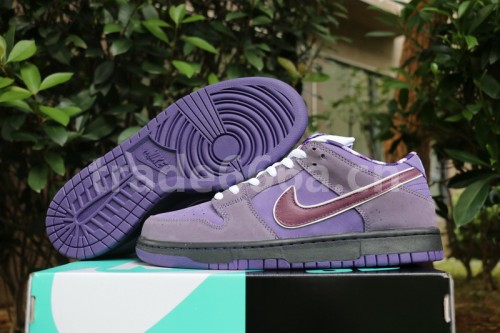Authentic Nike Dunk SB Concepts Purple Lobster Women Shoes