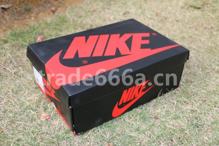 Authentic Air Jordan 1 High OG Top 3 GS