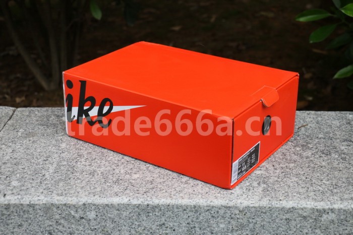 Authentic Sacai x Nike LDV Waffle BV0073-300