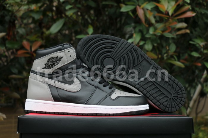 Authentic Air Jordan 1 OG “Shadow” 2018