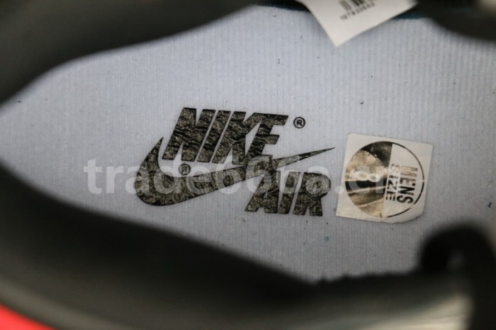 Authentic Air Jordan 1 OG “Shadow” 2018