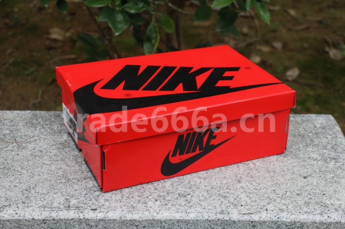 Authentic Maison Chateau Rouge x Air Jordan 1 High Mid