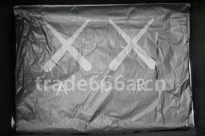 Authentic Kaws x Air Jordan 4 “Cool Grey”