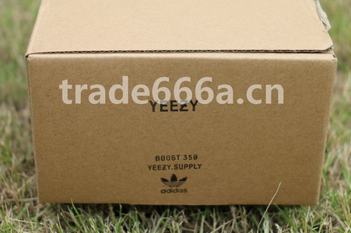 Authentic Yeezy 350 Boost Infant “Turtle Dove”