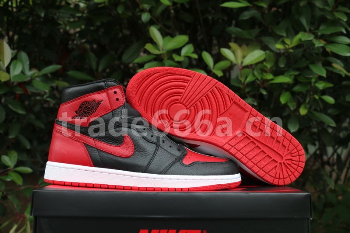 Authentic Air Jordan 1 Retro High OG “Homage To Home”