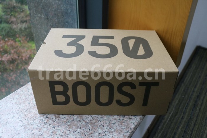 Authentic Yeezy 350 V2 “Zyon”