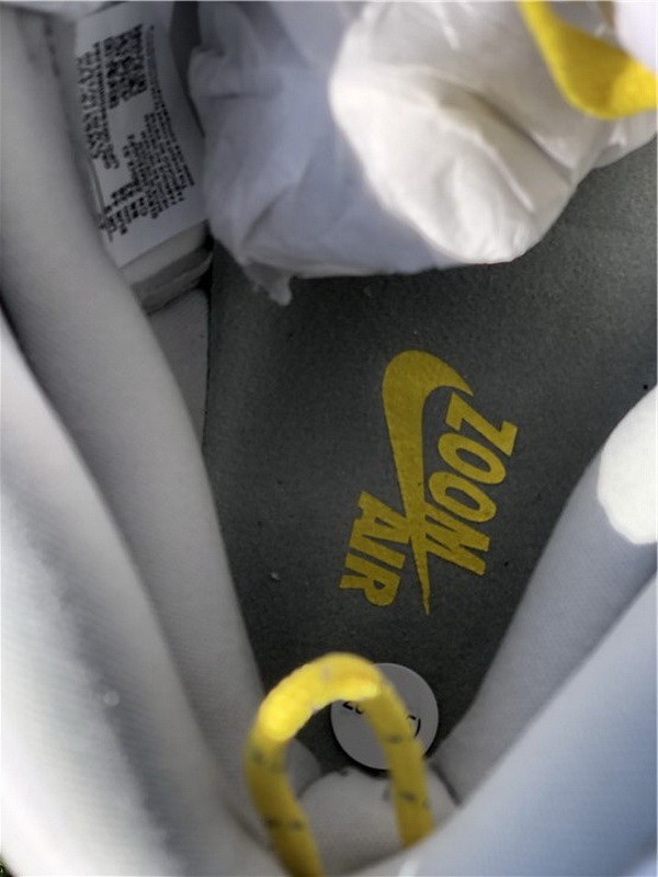 Authentic Air Jordan 1 Switch “Light Smoke Grey”