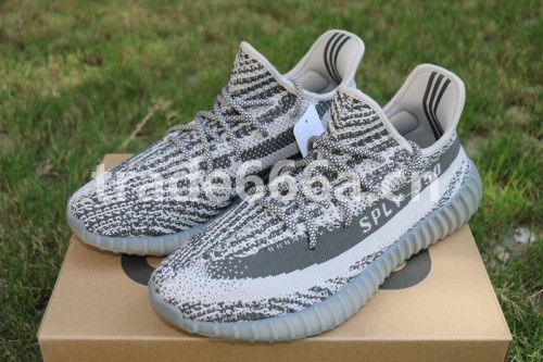 Authentic AD Yeezy 350 V2 Turtle Dove