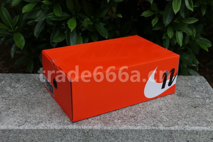 Sacai x Nike Waffle Daybreak BV0073-001