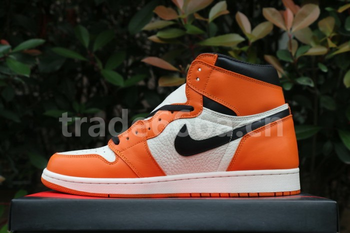 Authentic Air Jordan 1 “Reverse Shattered Backboard”