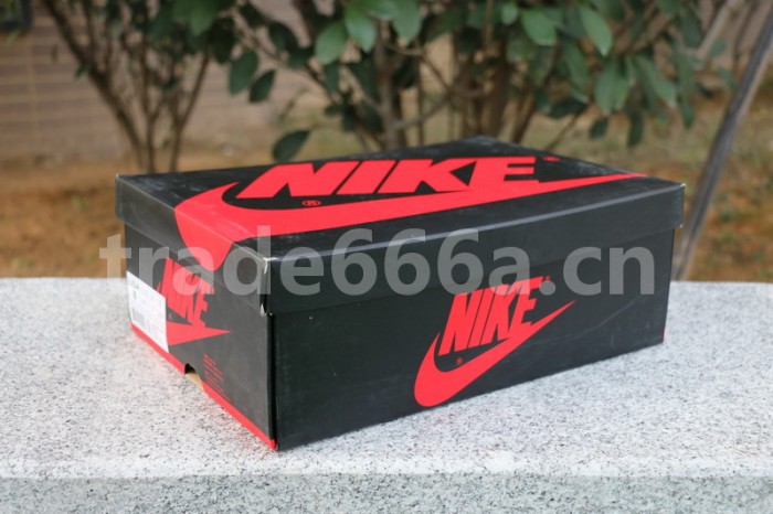 Authentic Air Jordan 1 Retro High OG Rust Pink