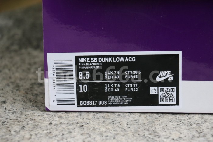Authentic Nike SB Dunk Low “ACG”