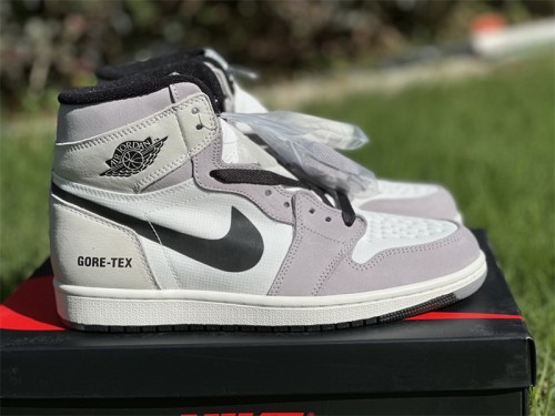 Authentic Air Jordan 1 Element Gore-Tex Light Bone