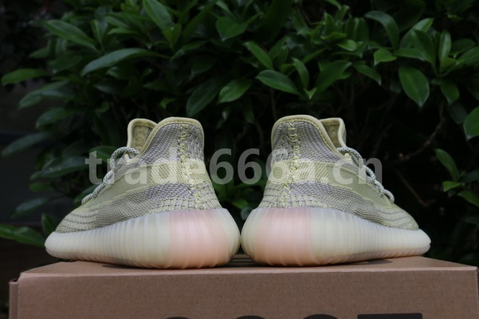 Authentic Yeezy Boost 350 V2 “ANTLIA”